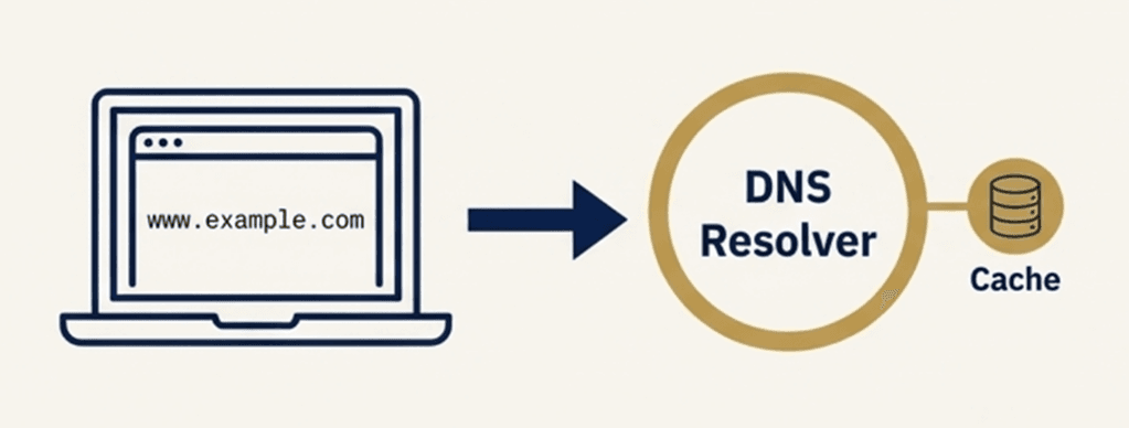 ขั้นตอนการทำงาน DNS