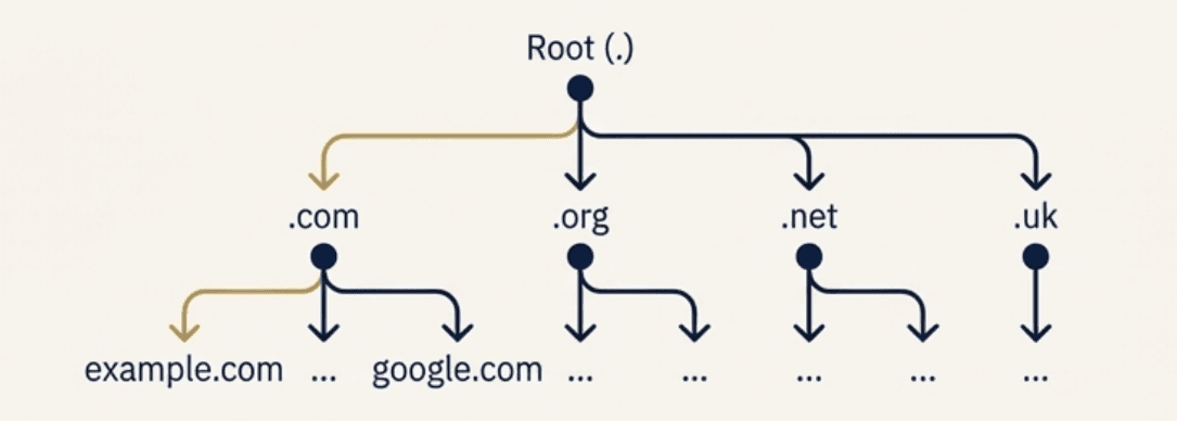ภาพแสดง root-domain
