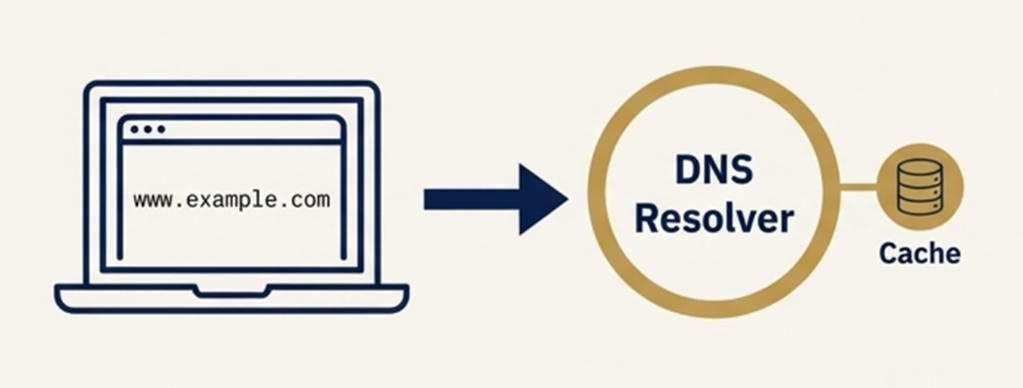 ขั้นตอนการทำงาน DNS